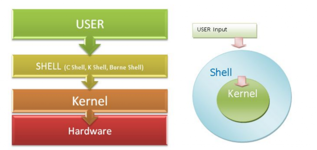 User shell. Shell Linux структура. Kernel. Kernel os. Круг Hardware Kernel Shell картинки.